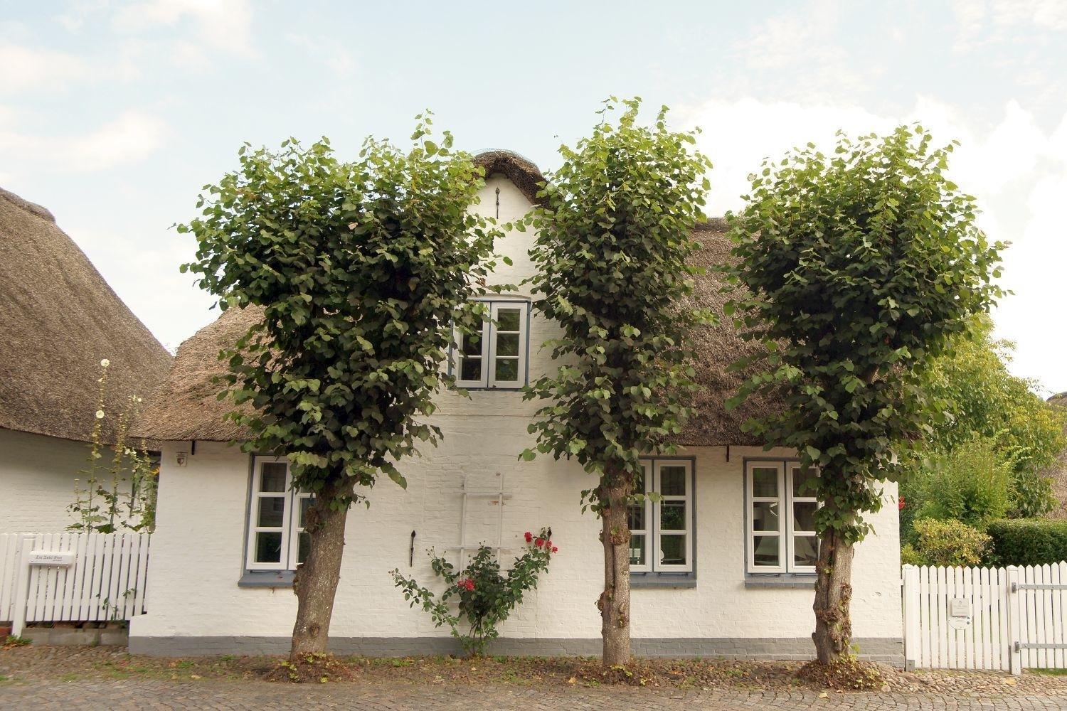 Witje Hues Villa Boldixum Exterior photo